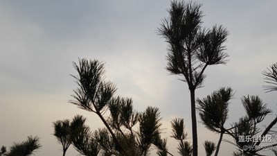 尋覓春天的腳步！