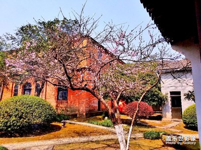 三生三世十里桃花