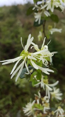 心情隨筆~不悲不喜 便是晴天