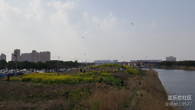 踏春，未能免俗