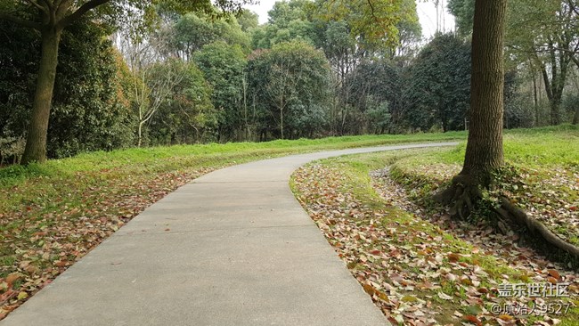 踏春，未能免俗