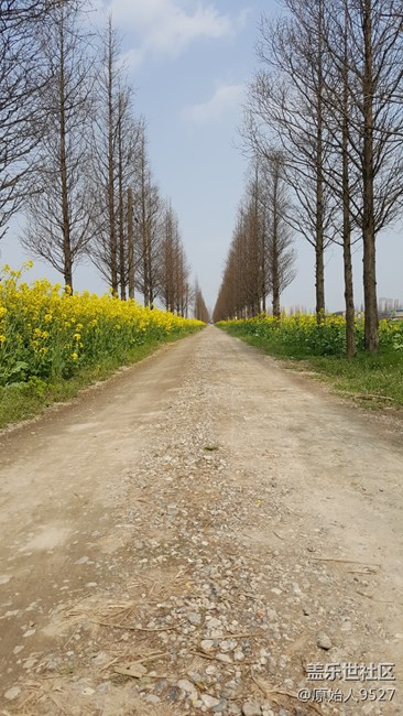 踏春，未能免俗