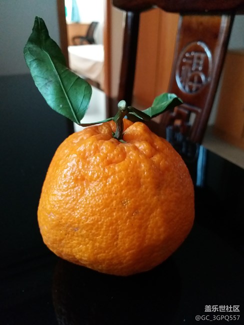 我就是過來看看…………