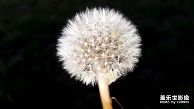 給點(diǎn)風(fēng)讓它自由飛翔，，，