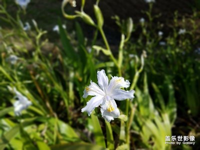 隨手拍，此刻你心歸何處、、、