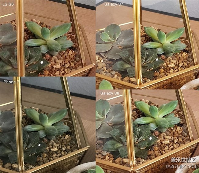 三星S8拍照樣張  iPhone 7弱爆了