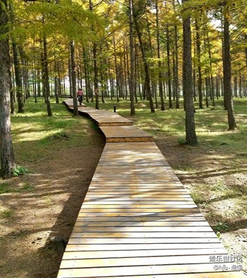 路+哈爾濱+走過(guò)的路