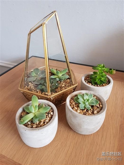 三星S8拍照樣張  iPhone 7弱爆了