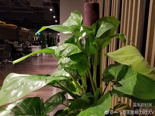 買不買S8 先看看這個(gè)你再?zèng)Q定