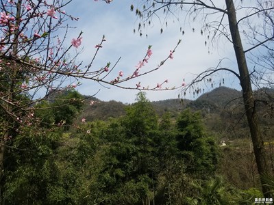 人間四月芳菲盡