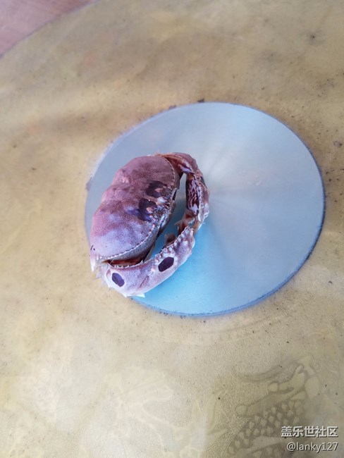 三桑安卓70的傷。