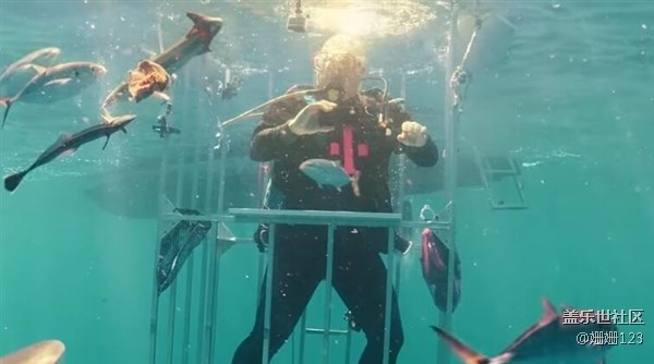 三星S8水下開箱：竟然引來了鯊魚群