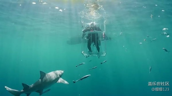 三星S8水下開箱：竟然引來了鯊魚群