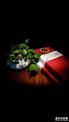 【靜物之美】Photo  by  HJQ