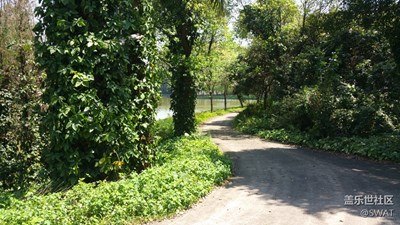 路+廣州+林間小路