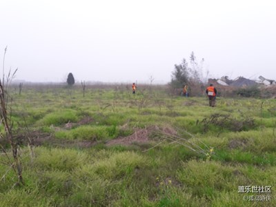 路+駐馬店+春來了