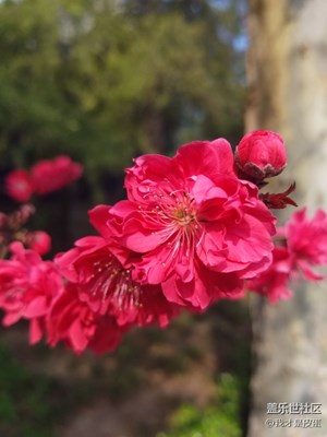 路邊景色隨手拍