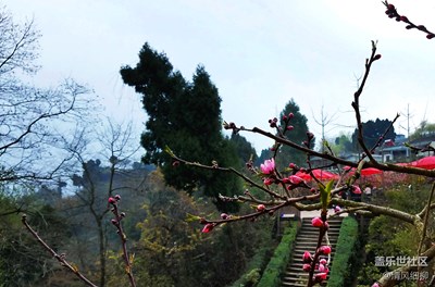 路+綿陽市+生活就在足下