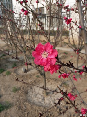 小長(zhǎng)假不閑著