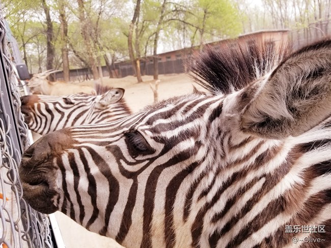 驚艷到極致便是永恒——Galaxy S8拍照體驗(yàn)【Olive】