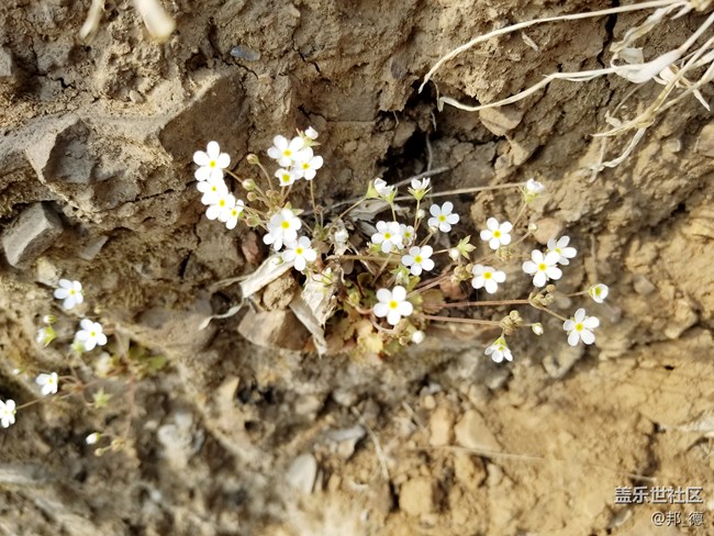精雕細琢 圓潤如玉 短暫的邂逅三星S8使用三日有感 精雕細琢 圓潤如玉 短暫的邂逅三星S8使用三日有感