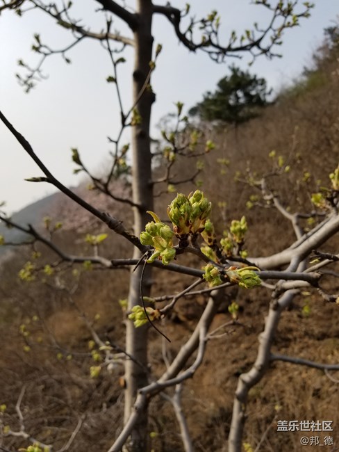 精雕細琢 圓潤如玉 短暫的邂逅三星S8使用三日有感 精雕細琢 圓潤如玉 短暫的邂逅三星S8使用三日有感