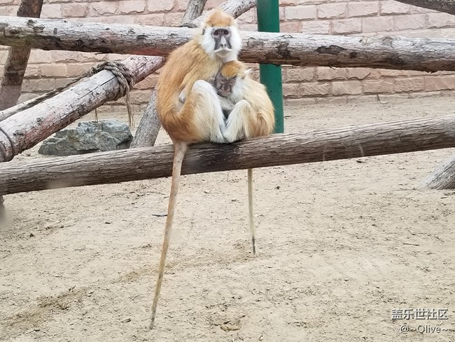 驚艷到極致便是永恒——Galaxy S8拍照體驗(yàn)【Olive】