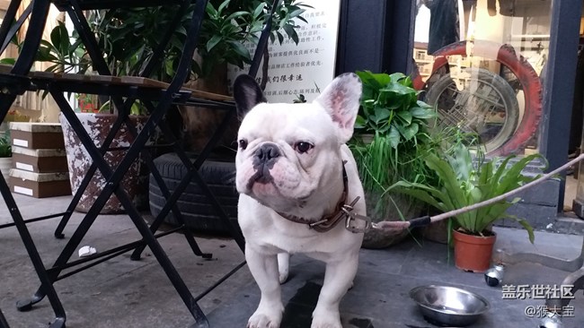 【樂享C5 Pro】和“小姐姐”的 四川美術(shù)學(xué)院 采風(fēng)之旅！