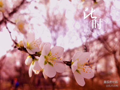 輕輕而去，宛如清風(fēng)