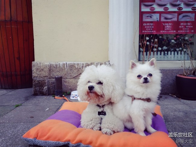 【樂享C5 Pro】和“小姐姐”的 四川美術(shù)學(xué)院 采風(fēng)之旅！