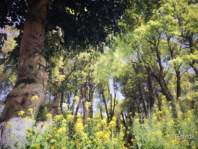 【樂享C5 Pro】和“小姐姐”的 四川美術(shù)學(xué)院 采風(fēng)之旅！