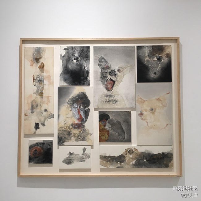 【樂享C5 Pro】和“小姐姐”的 四川美術(shù)學(xué)院 采風(fēng)之旅！