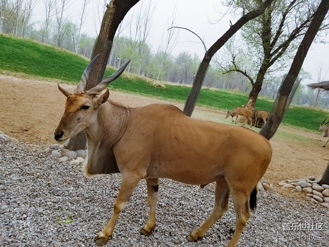 驚艷到極致便是永恒——Galaxy S8拍照體驗(yàn)【Olive】