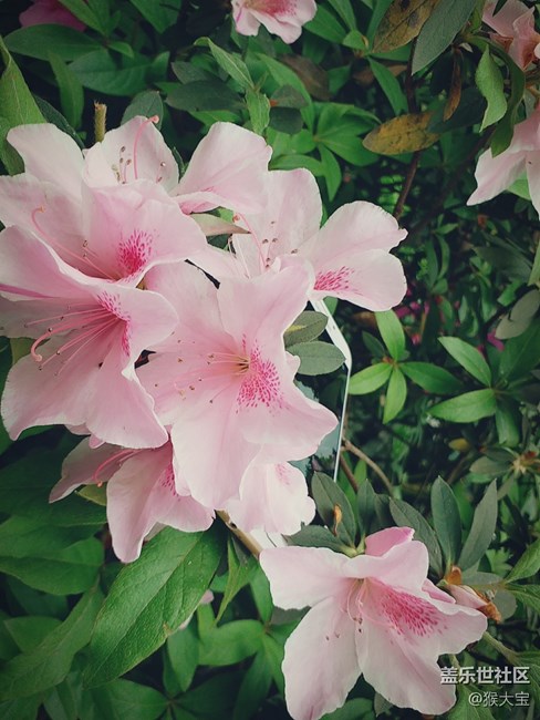 【樂享C5 Pro】和“小姐姐”的 四川美術(shù)學(xué)院 采風(fēng)之旅！