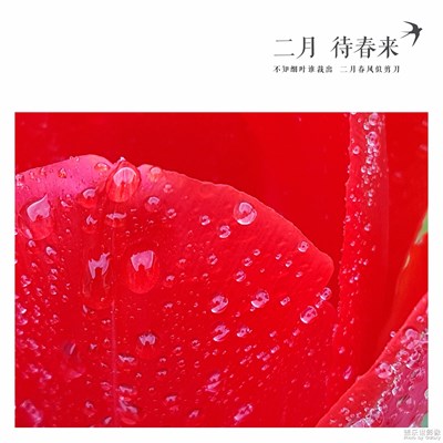 修圖