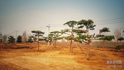 春天路邊開發(fā)ing的公園！