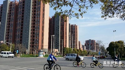 騎上單車去看春