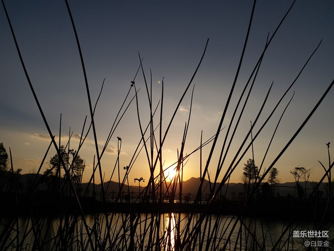 【樂享C5 Pro】Galaxy C5 Pro帶你看日落