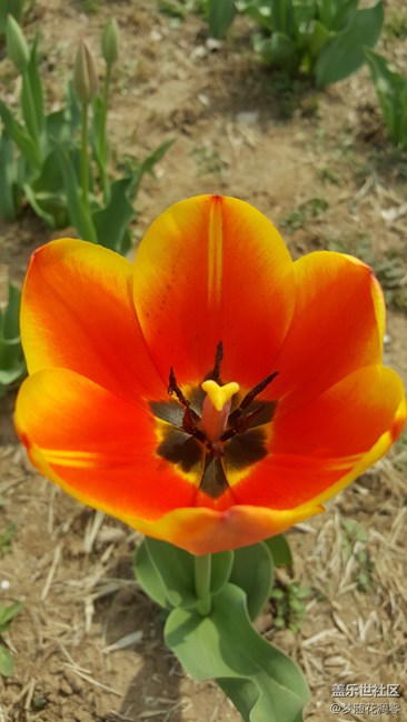 原圖無修改！