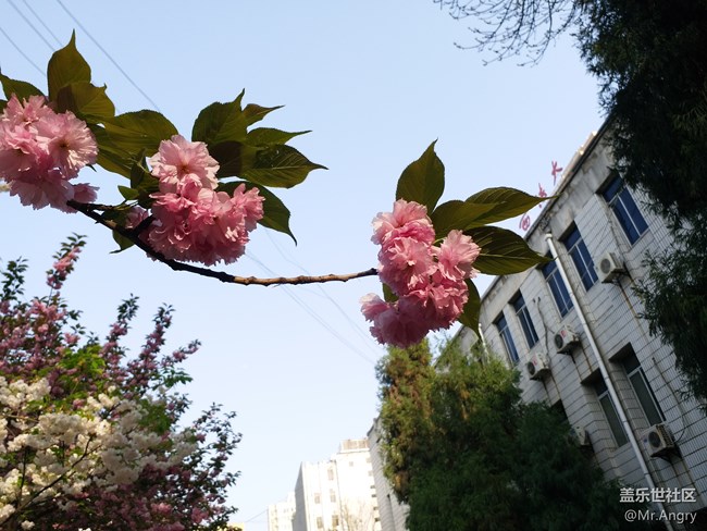 【樂(lè)享C5 Pro】短小精悍！C5 Pro上手體驗(yàn)