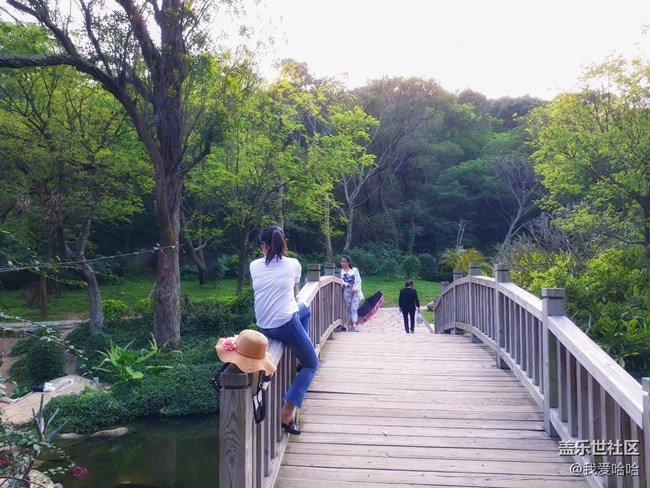 【樂享c5 pro】拍照體驗(yàn)——跟著C5 pro走進(jìn)廈大情人谷