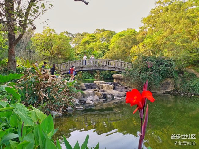 【樂享c5 pro】拍照體驗(yàn)——跟著C5 pro走進(jìn)廈大情人谷