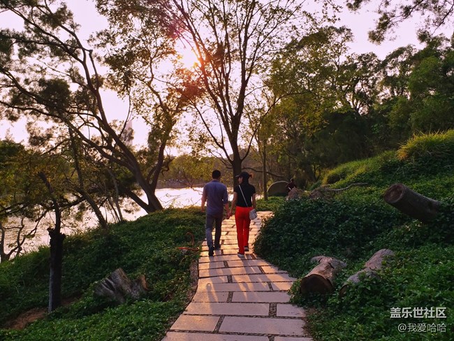 【樂享c5 pro】拍照體驗(yàn)——跟著C5 pro走進(jìn)廈大情人谷