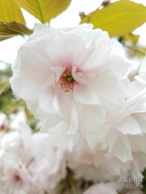 升級安卓7.0后，三星S7拍照性能依然不錯