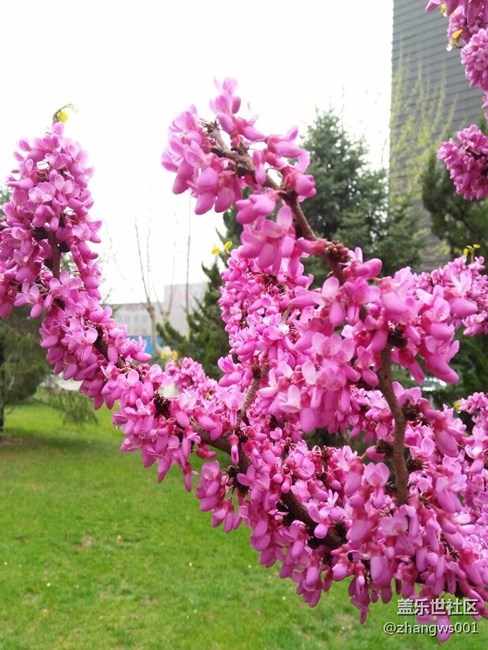 親愛(ài)的朋友們  早上好！