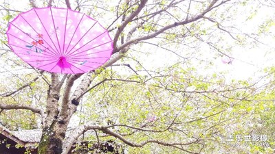 時光，濃淡相宜。。。。。