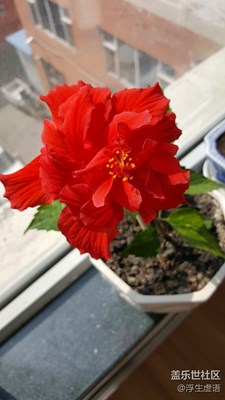 又是一個好天氣