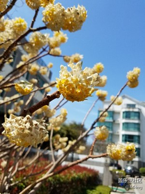 小區(qū)隨手拍