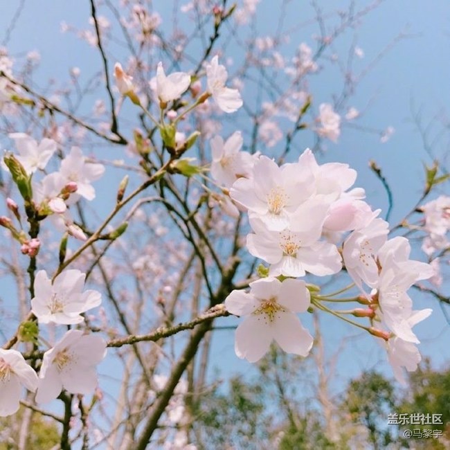 關(guān)于s6是否換機(jī)s8、國產(chǎn)、iphone?(個人觀點(diǎn))