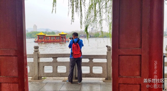 清明時(shí)節(jié)，去大明湖畔邂逅夏雨荷